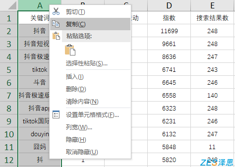 复制关键词列表